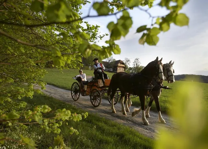 Troadkasten - Familie Friedrich Bad Waltersdorf